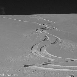 Text and image block